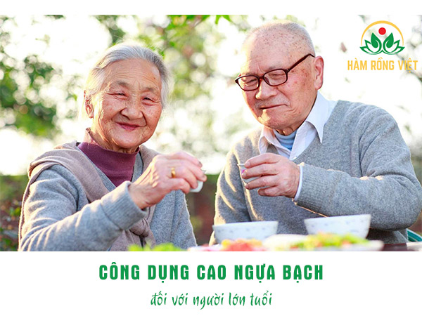 Công dụng Cao Ngựa Bạch đối với người lớn tuổi