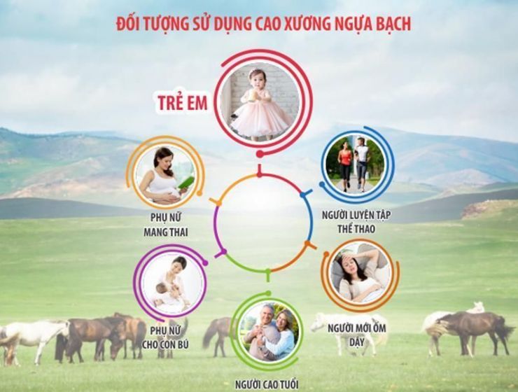 Cao ngựa dùng cho lứa tuổi nào phù hợp, liều lượng ra sao?