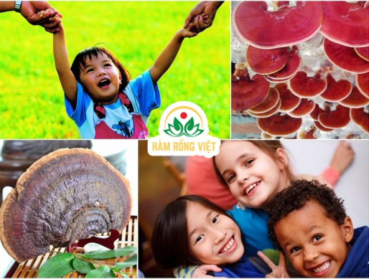 Cao Linh Chi phù hợp với lứa tuổi nào?