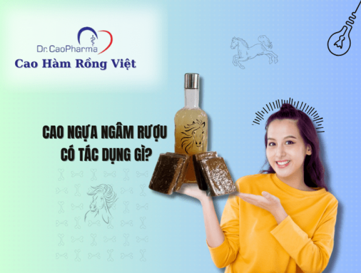 Cao ngựa ngâm rượu có tác dụng gì? 