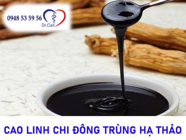Cao linh chi đông trùng hạ thảo - Bài thuốc quý từ ngàn xưa