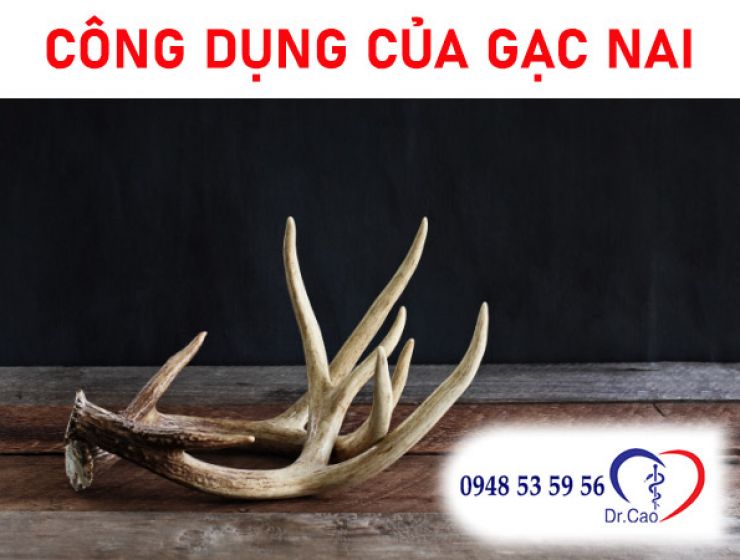 Nguồn gốc, công dụng của gạc nai