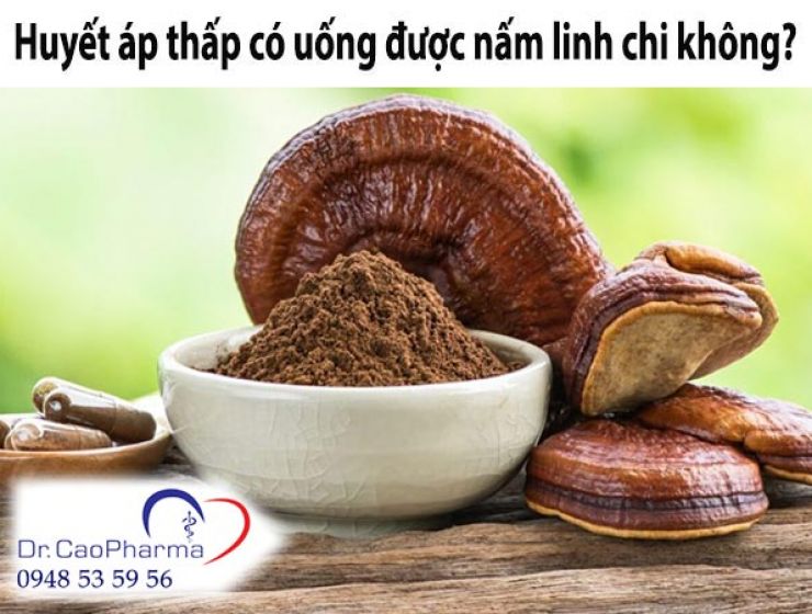 [Giải đáp] Huyết áp thấp có uống được nấm linh chi không?