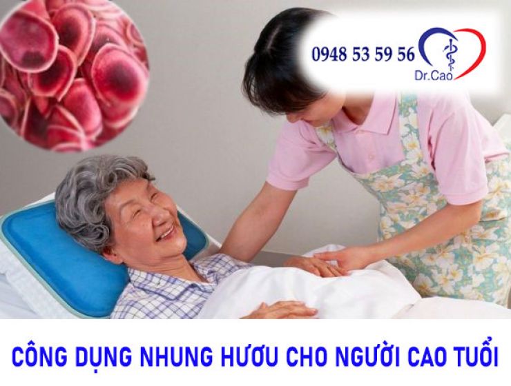 Bật mí dùng cao nhung hươu cho người cao tuổi liệu có phù hợp?