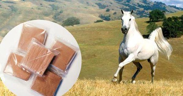 cao ngựa ngâm rượu có tác dụng gì
