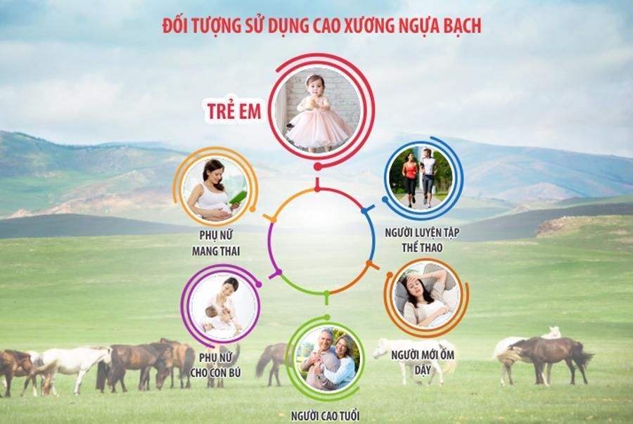 Cao ngựa dùng cho lứa tuổi nào phù hợp cũng phải đúng liều lượng
