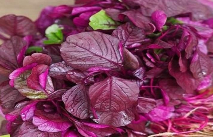 Một số thực phẩm có thể kị với cao mèo, người dùng cần tránh