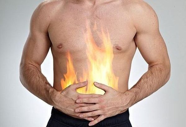 Người thể nhiệt không nên uống rượu cao mèo