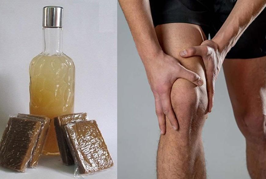 Công dụng rượu cao mèo đen trong hỗ trợ điều trị một số bệnh lý