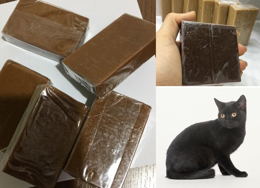 Cách dùng cao mèo đen đúng để phát huy hiệu quả trong điều trị bệnh