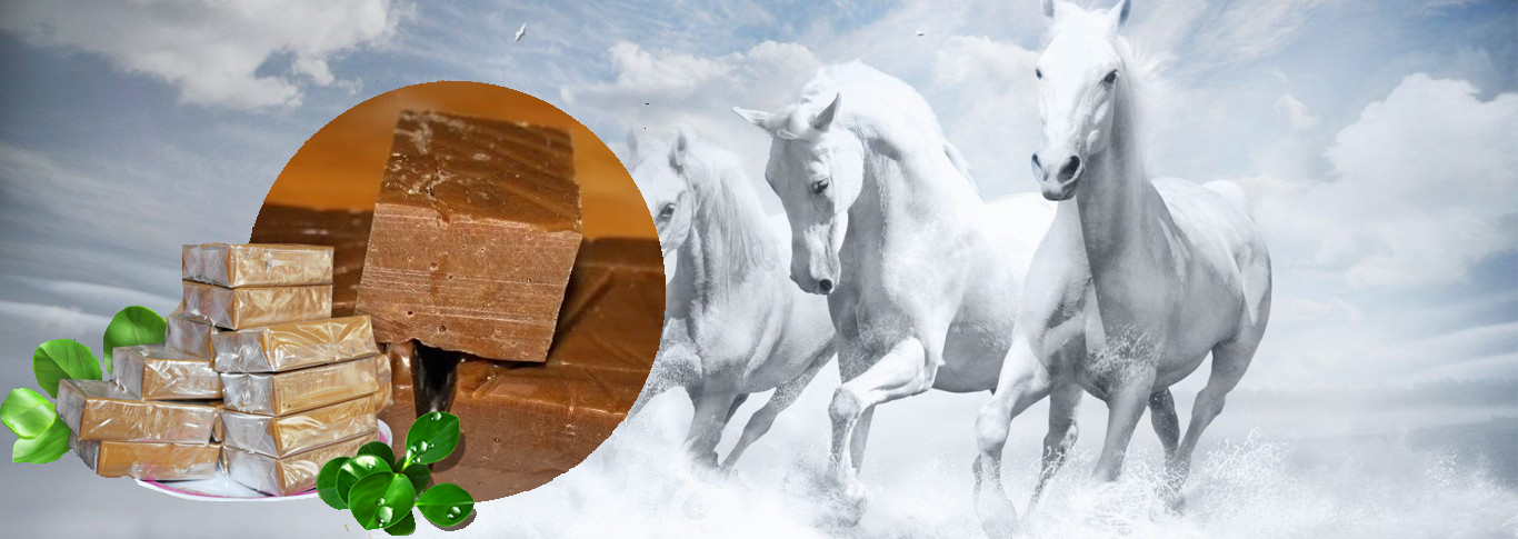 Lựa chọn địa chỉ uy tín để mua được cao ngựa chất lượng