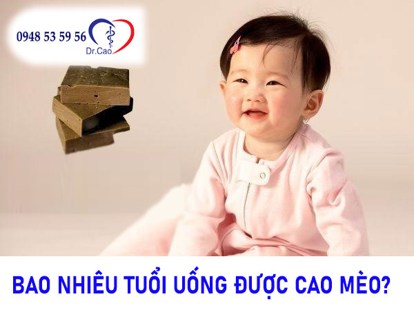 Bao nhiêu tuổi uống được cao mèo