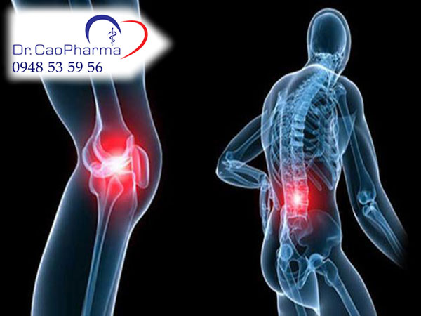 Bệnh loãng xương chữa được không?