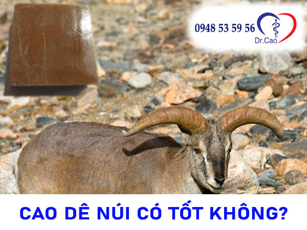 Cao dê núi có tốt không?