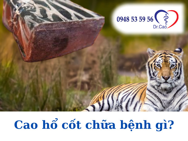 Cao hổ cốt chữa bệnh gì