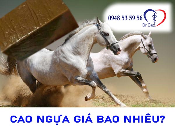 Cao ngựa giá bao nhiêu