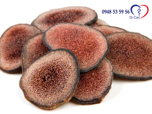 Nhung hươu có đa dạng công dụng