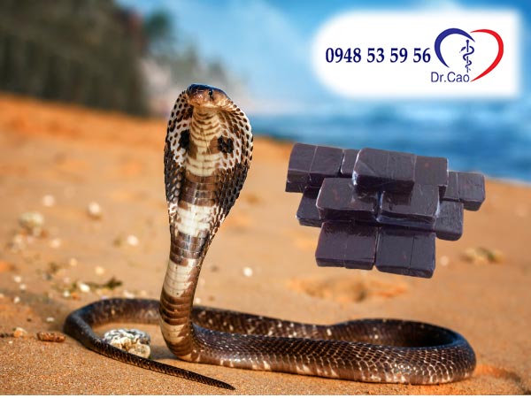 Công dụng thần kỳ của rắn hổ mang chữa những bệnh gì?