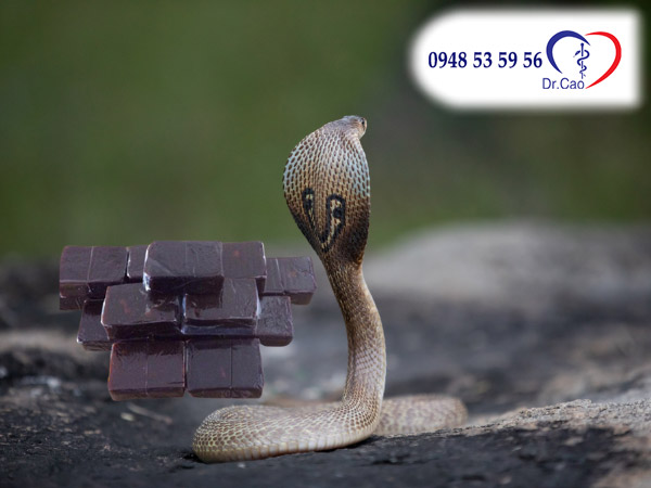 Cao rắn hổ mang bao nhiêu tiền