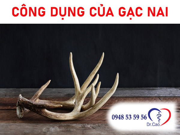 Công dụng cao gạc nai giúp người dùng điều hoà cơ thể