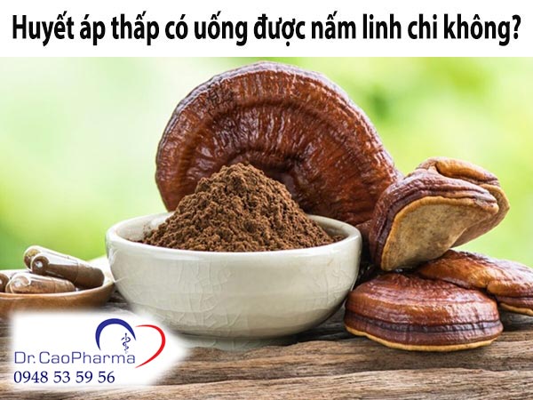 Huyết áp thấp có uông được nấm linh chi không?