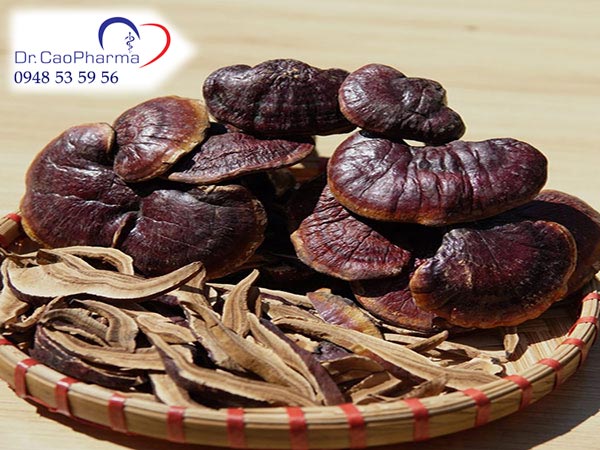 Phân biệt nấm lim thật giả như thế nào?