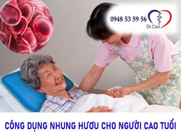 Dùng cao nhung huơu cho người  cao tuổi được không?