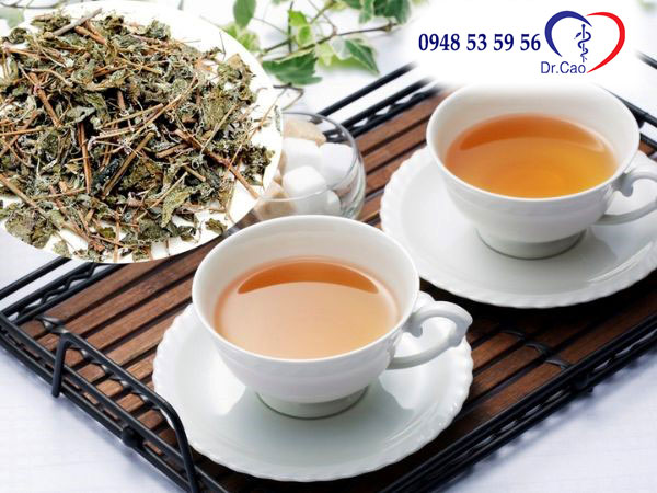 Tránh các loại chè khi sử dụng cao mèo