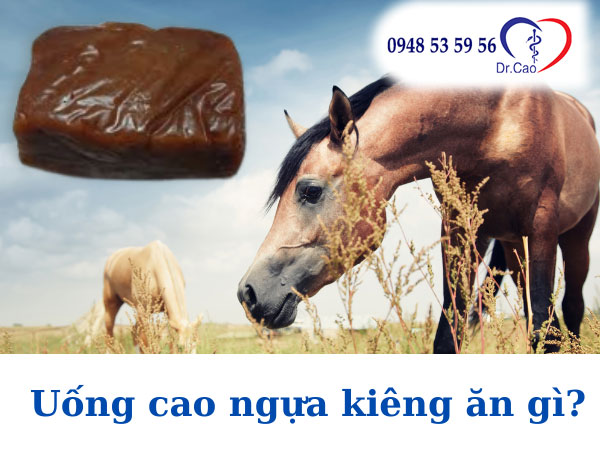 Uống cao ngựa kiêng ăn gì