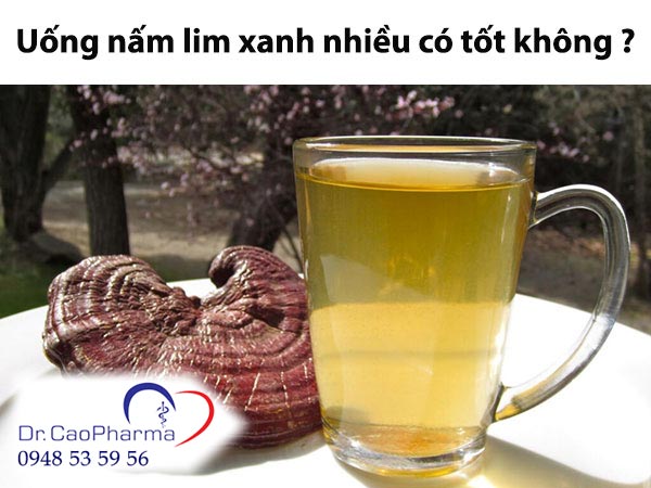 Uống nấm lim xanh nhiều có tốt không?